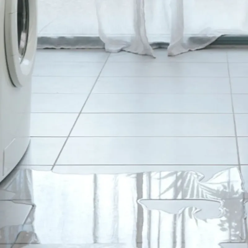 Appliance Leak Cleanup in South Elgin, IL
