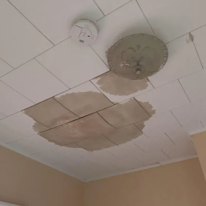 Ceiling Water Damage Repair in South Elgin, IL