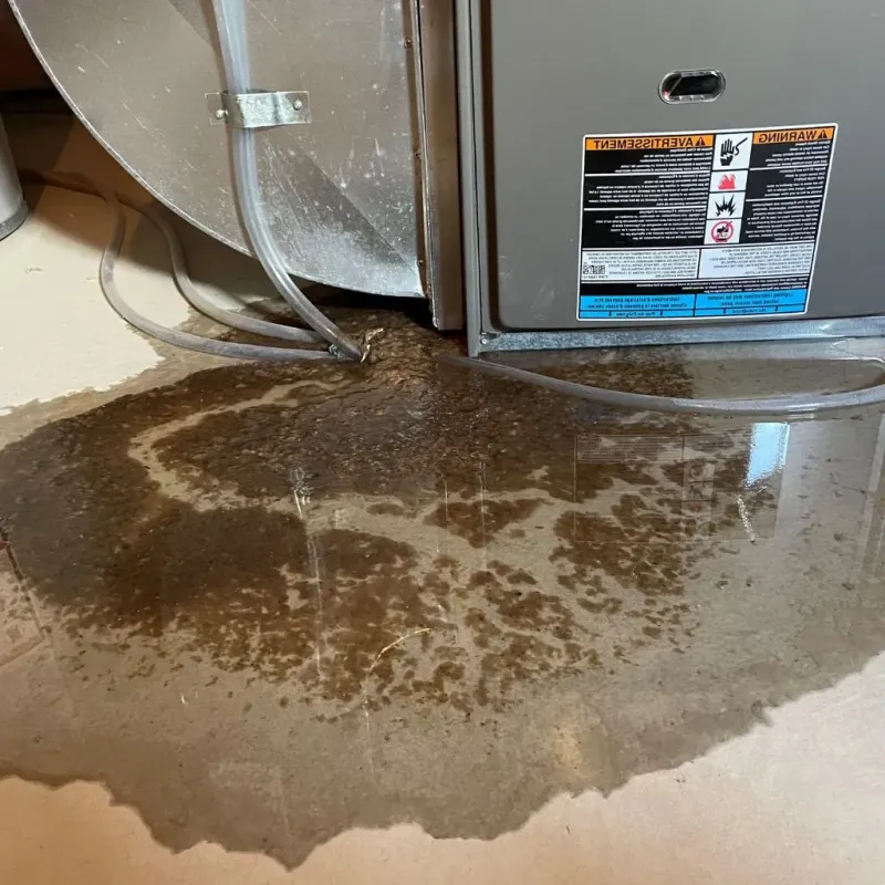 Pipe Burst and Leak Restoration in South Elgin, IL